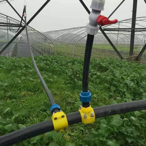 ���̰���