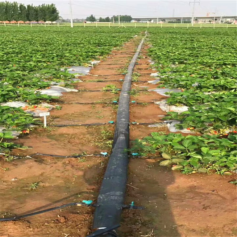 ���̰���